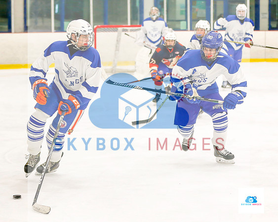 PW Vikings High School Ice hockey team 2019