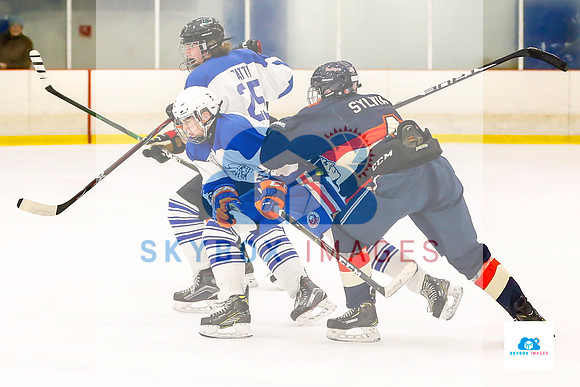 PW Vikings High School Ice hockey team 2019