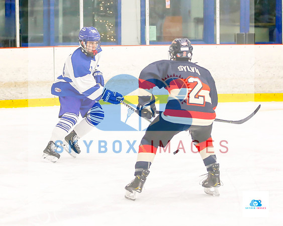 PW Vikings High School Ice hockey team 2019