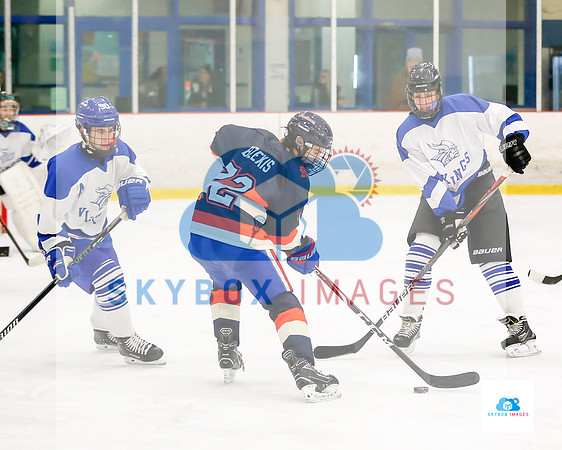 PW Vikings High School Ice hockey team 2019