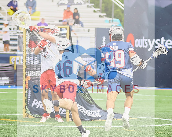 Cannons Vs Chaos